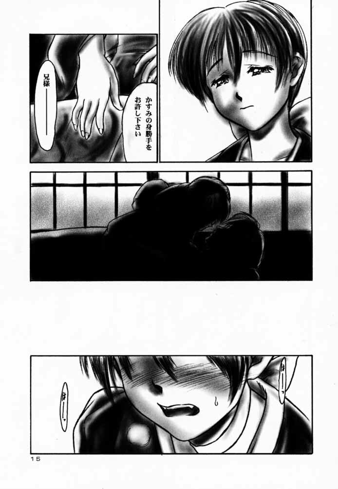 (C59) [Hellabunna (Iruma Kamiri)] INU/AO Preface (Dead or Alive) page 15 full