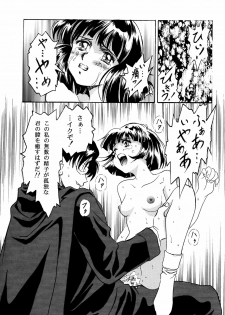 (C48) [Henreikai (Kawarajima Koh)] Virgin Erase (Bishoujo Senshi Sailor Moon) - page 14
