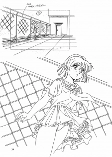 (C48) [Henreikai (Kawarajima Koh)] Virgin Erase (Bishoujo Senshi Sailor Moon) - page 34