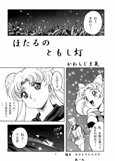 (C48) [Henreikai (Kawarajima Koh)] Virgin Erase (Bishoujo Senshi Sailor Moon) - page 5