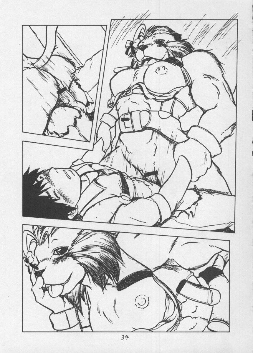 (C51) [TEAM SHUFFLE (Various)] Kemono no Sho 3 - Book of The Beast 3 page 34 full
