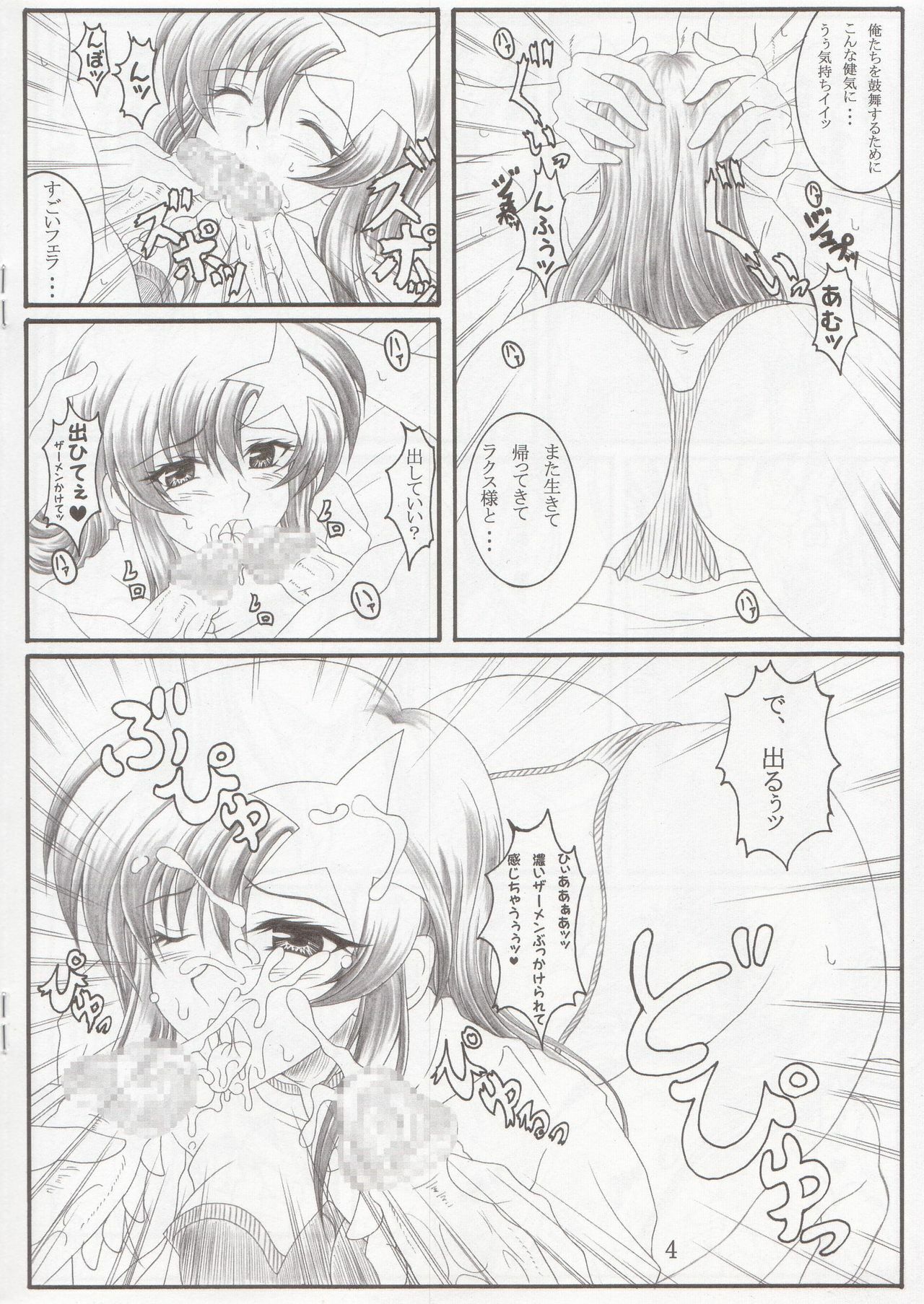 (C68) [INSERT (KEN)] Gentei Bon (Kidou Senshi Gundam SEED DESTINY) page 4 full