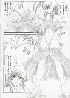 (C68) [INSERT (KEN)] Gentei Bon (Kidou Senshi Gundam SEED DESTINY) - page 2