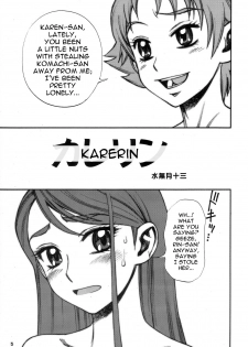 (C73) [Gerupin (Minazuki Juuzou)] KareRin (Yes! Precure 5) [English] [0405] - page 4