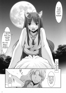 (COMIC1☆2) [Digital Lover (Nakajima Yuka)] D.L. action 43 (Spice and Wolf) [English] [Reromanga] - page 15