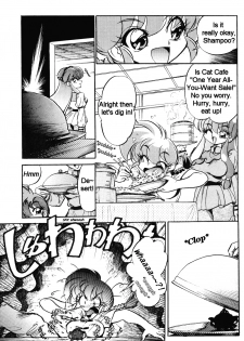 (C61) [... Mou Ii Desu. (Jinmu Hirohito)] DX Deluxe Chuuka Sanmai (Ranma 1/2) [English] [Mr Ripper] - page 6