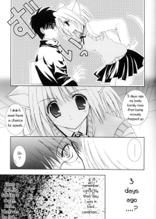(C63) [Neko Kinryouku (NekoNeko)] Tsukineko Kyoushitsu (Tsukihime) [English] [EHT] - page 6