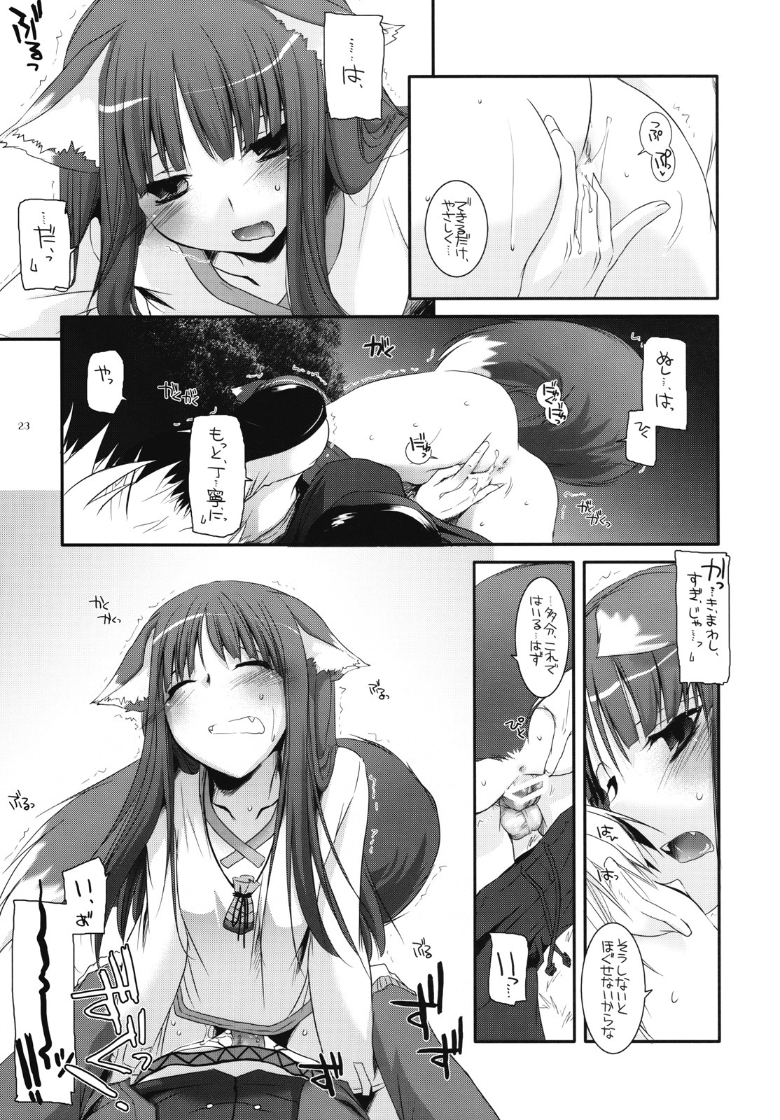 (COMIC1☆2) [Digital Lover (Nakajima Yuka)] D.L. action 43 (Spice and Wolf) page 22 full