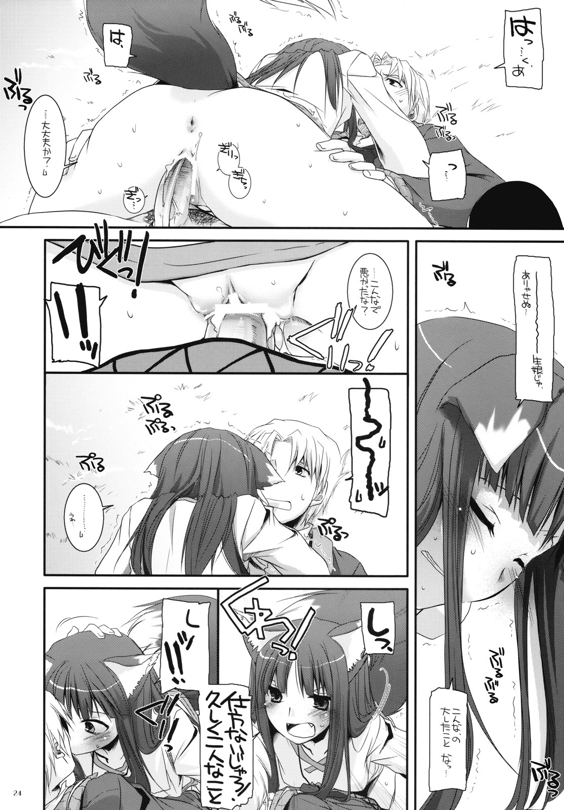 (COMIC1☆2) [Digital Lover (Nakajima Yuka)] D.L. action 43 (Spice and Wolf) page 23 full