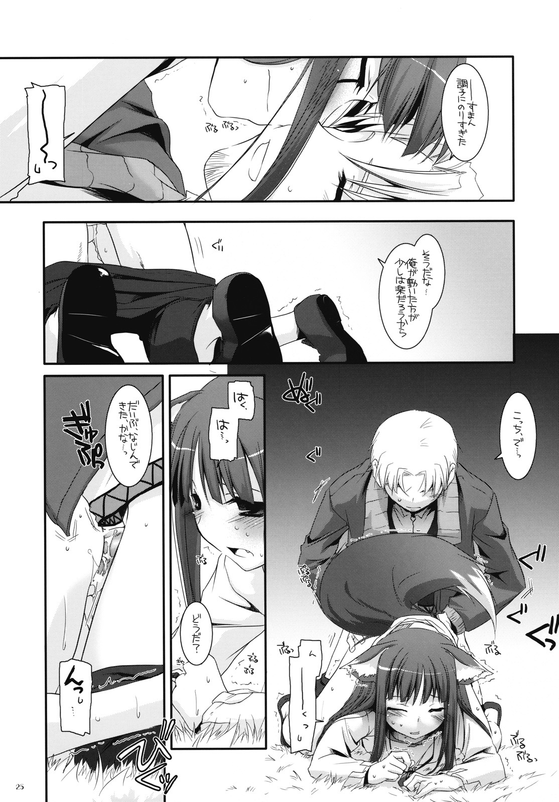 (COMIC1☆2) [Digital Lover (Nakajima Yuka)] D.L. action 43 (Spice and Wolf) page 24 full