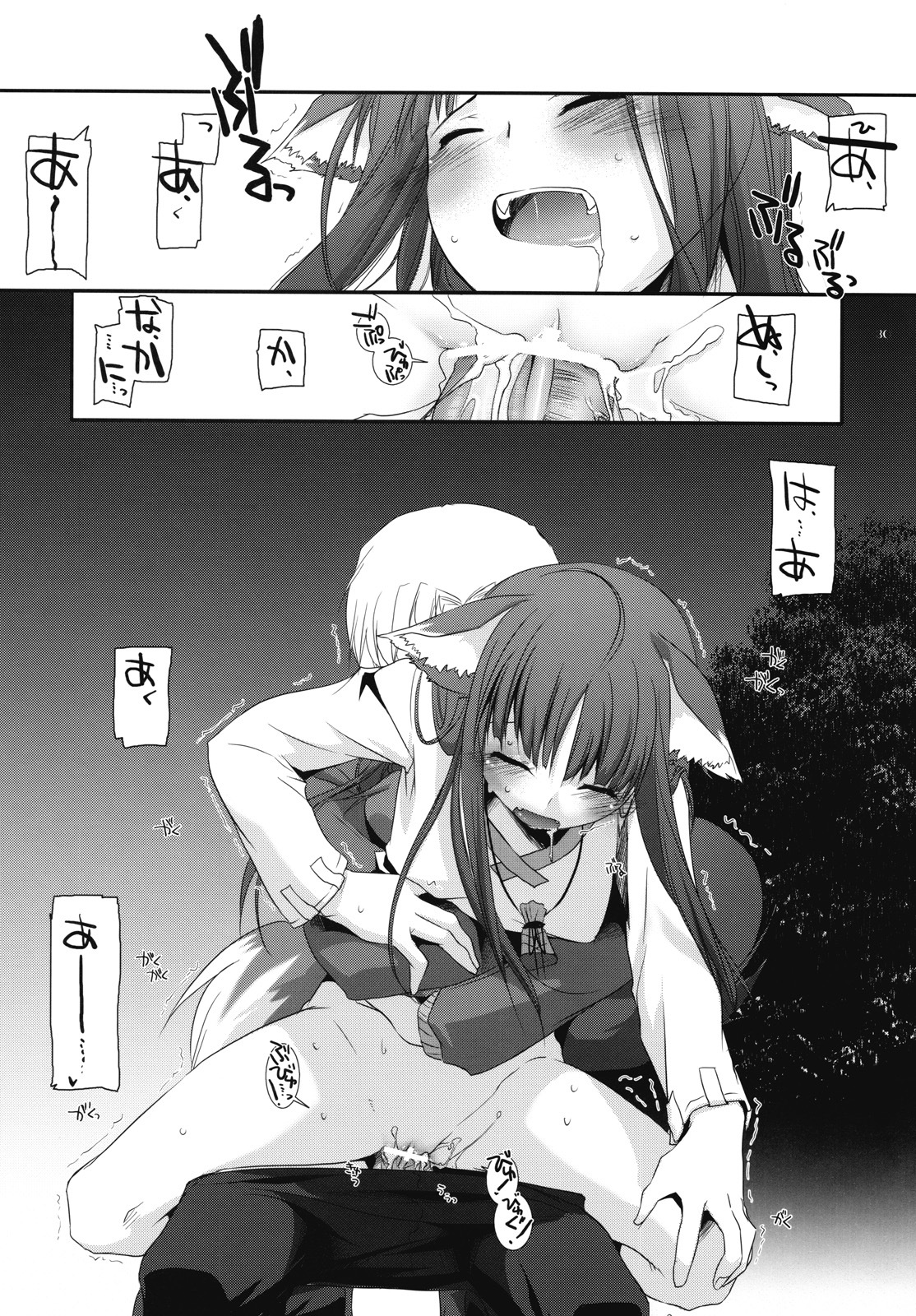 (COMIC1☆2) [Digital Lover (Nakajima Yuka)] D.L. action 43 (Spice and Wolf) page 29 full