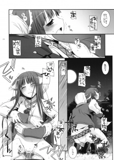 (COMIC1☆2) [Digital Lover (Nakajima Yuka)] D.L. action 43 (Spice and Wolf) - page 28