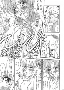 (C67) [LUCK&PLUCK!Co. (Amanomiya Haruka)] Conversation Clinic (Gundam SEED) - page 13