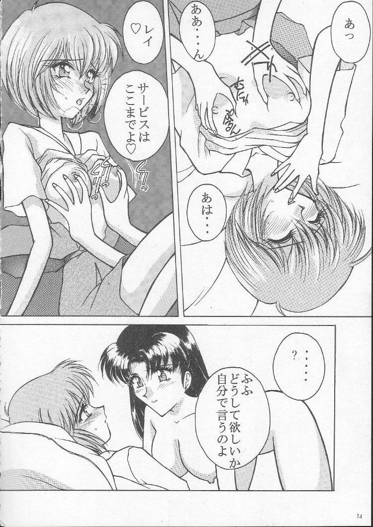 (C49) [LUCK&PLUCK!Co. (Amanomiya Haruka)] My Love 6To8 (Neon Genesis Evangelion) page 13 full