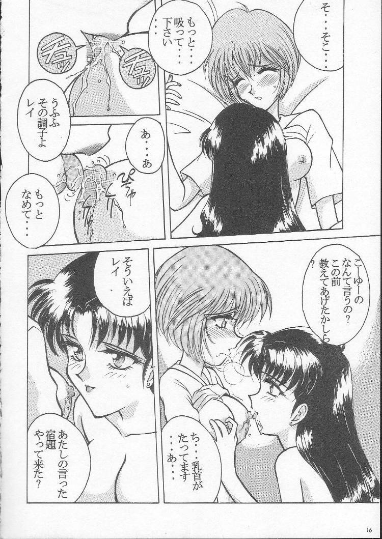 (C49) [LUCK&PLUCK!Co. (Amanomiya Haruka)] My Love 6To8 (Neon Genesis Evangelion) page 15 full