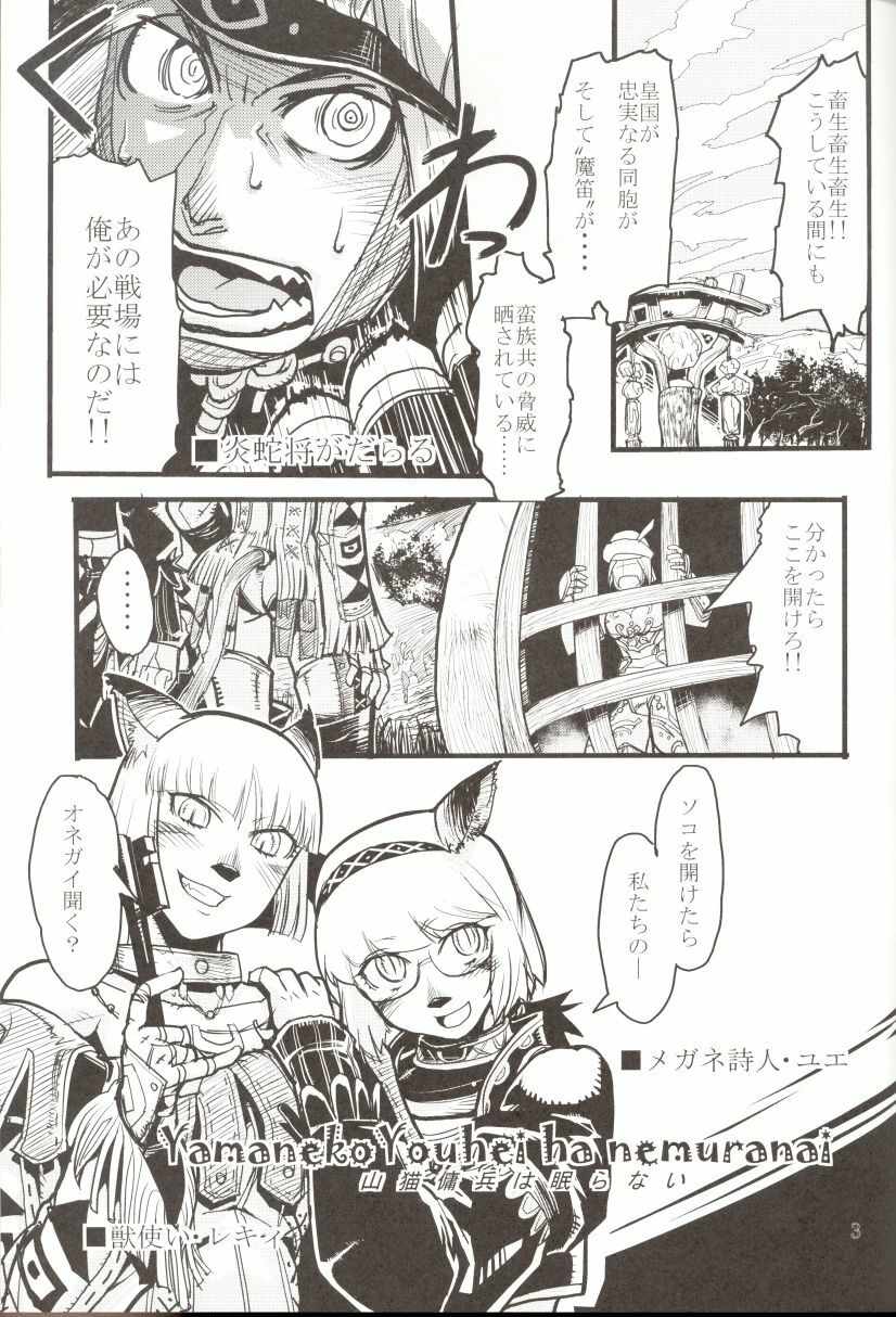 (C71) [Kuroshiki (Kurohiko)] Kuroshiki Vol. 5 (Final Fantasy XI) page 3 full