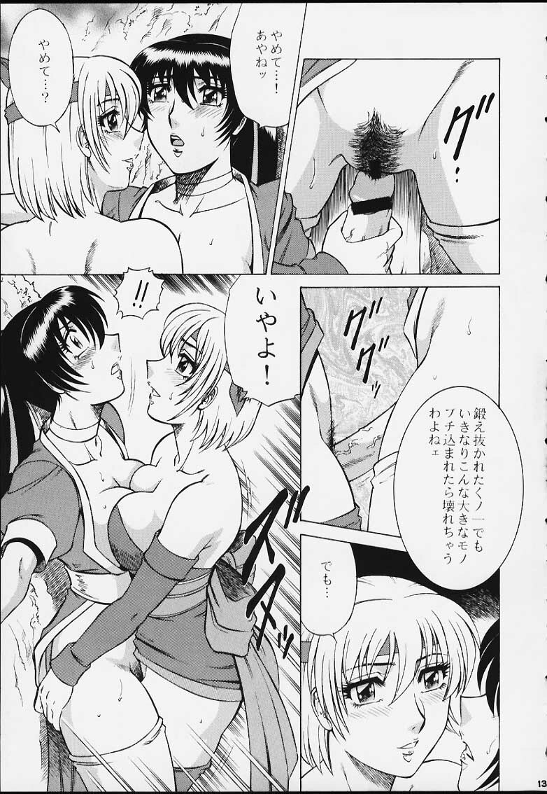 (C59) [Circle Taihei-Tengoku (Aratamaru)] NIGHT HEAD 12 (Dead or Alive) page 10 full