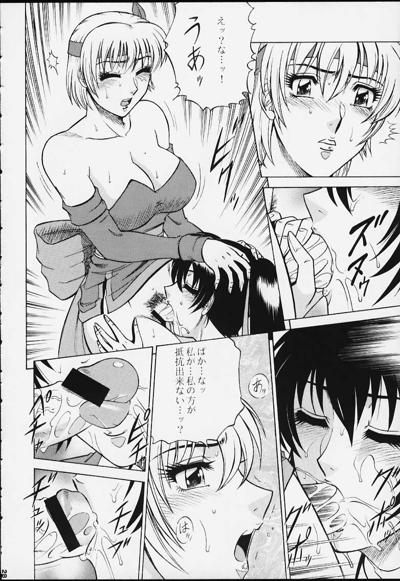 (C59) [Circle Taihei-Tengoku (Aratamaru)] NIGHT HEAD 12 (Dead or Alive) page 25 full