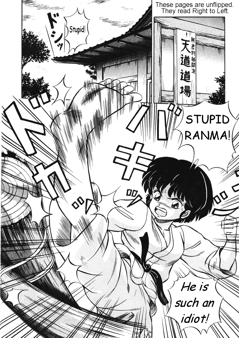 [Taya Takashi] Akane no Baka + Neko wa Kimagure | Stupid Akane + Whimsical Kitty (Ranma 1/2) [English] [The Talented Mr. Ripper] page 2 full