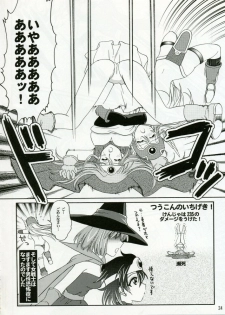 (C70) [Ojou no Yokushitsu (AYA)] Parupunte!! Yuusha-sama go Ikkou Bouken Nikki 1 (Dragon Quest III) - page 23