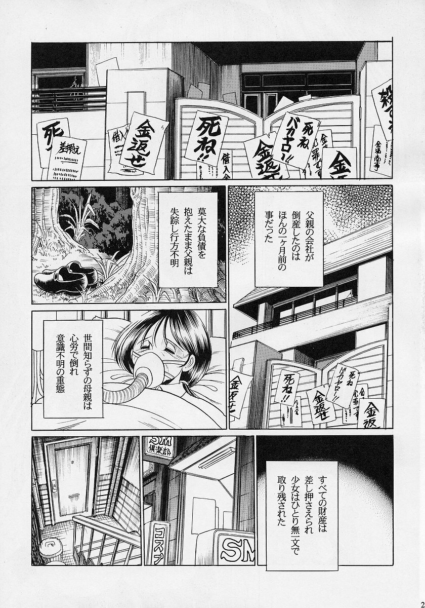 (C68) [Circle Taihei-Tengoku (Horikawa Gorou)] Ochibure page 24 full