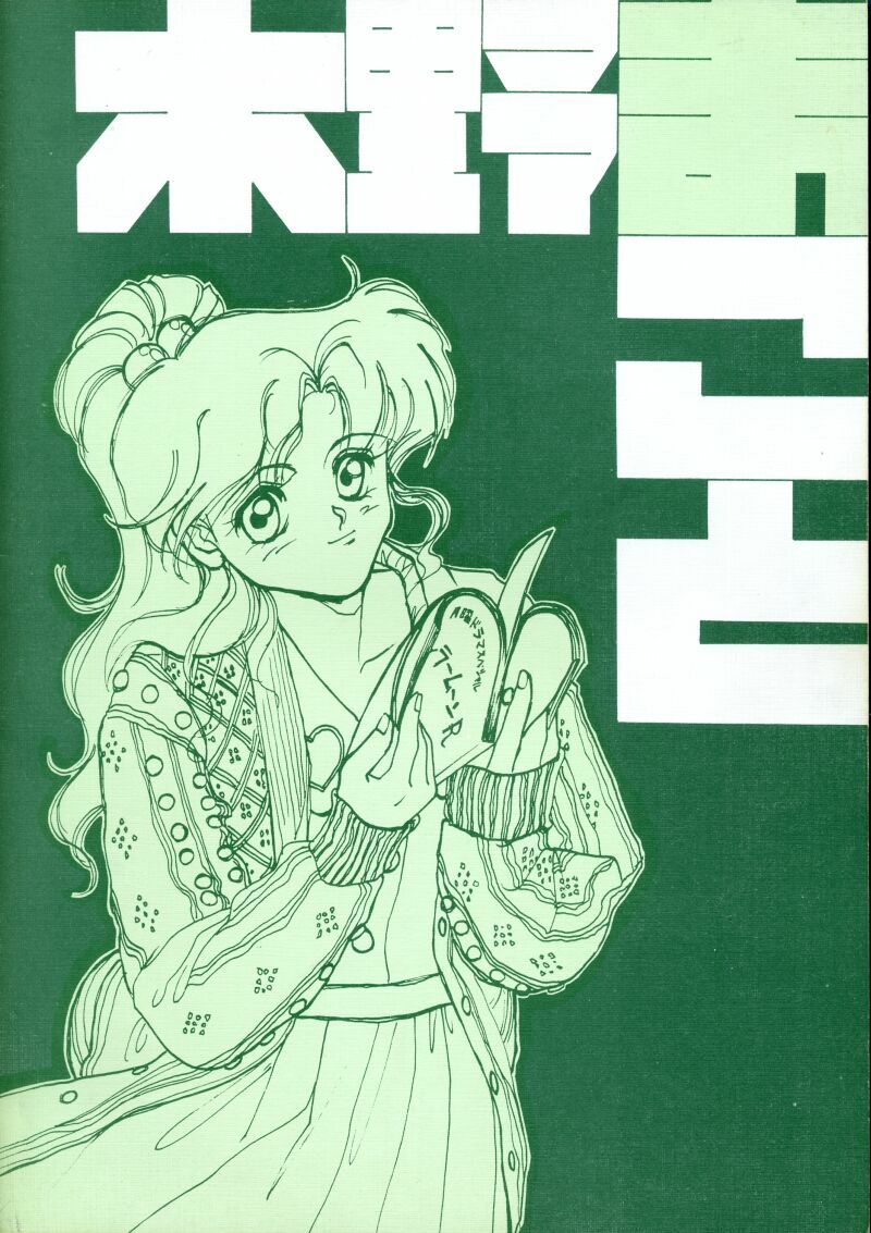 [Piroshikiya (Piroshiki)] Kin Gengashuu 3 (Bishoujo Senshi Sailor Moon) page 68 full