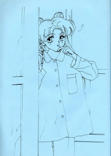 [Piroshikiya (Piroshiki)] Kin Gengashuu 3 (Bishoujo Senshi Sailor Moon) - page 19