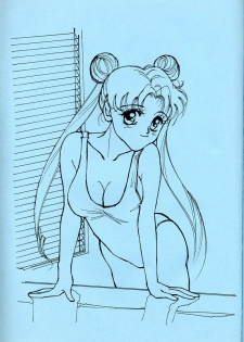 [Piroshikiya (Piroshiki)] Kin Gengashuu 3 (Bishoujo Senshi Sailor Moon) - page 21