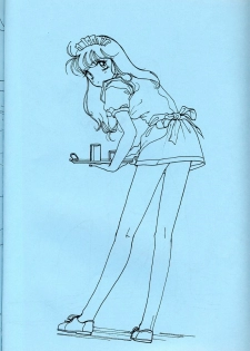 [Piroshikiya (Piroshiki)] Kin Gengashuu 3 (Bishoujo Senshi Sailor Moon) - page 22