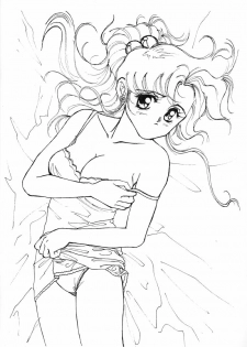 [Piroshikiya (Piroshiki)] Kin Gengashuu 3 (Bishoujo Senshi Sailor Moon) - page 2