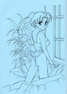 [Piroshikiya (Piroshiki)] Kin Gengashuu 3 (Bishoujo Senshi Sailor Moon) - page 3