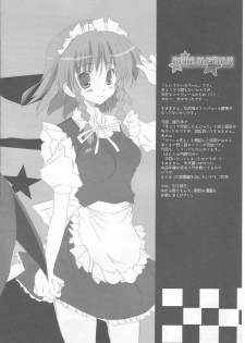 (SC30) [HappyBirthday (Maruchan., Monchy)] REDEMPTION (Touhou Project) - page 9