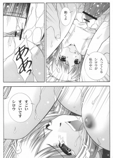 (C66) [Studio Wallaby (Takana Yu-ki)] Secret file next 10 - I feel my Fate (Fate/stay night) - page 26