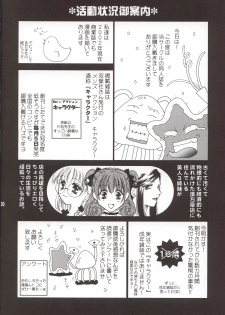 (C65) [Shigunyan (Kaede, Makoto)] Soshite Mori ni Yuki ga Saku (Samurai Spirits) - page 29