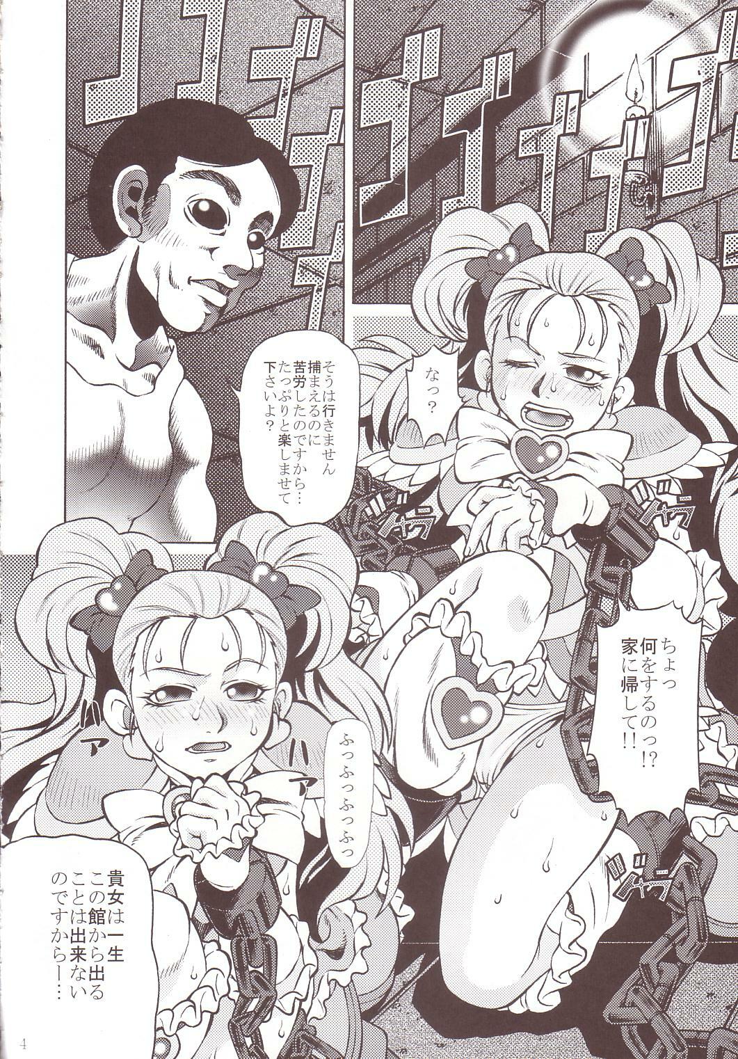 [Yuugai Tosho Kikaku (Tanaka Naburo)] Goumon Kan Sosei Hen (Futari wa Precure) page 3 full