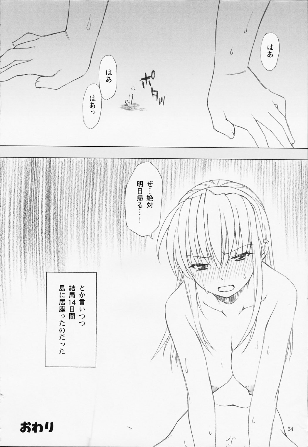 (C65) [LUNATIC WINGS (Shizaki Masayuki)] Hot Limit (Dead or Alive) page 25 full