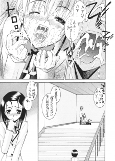(C71) [Sanazura Dojinshi Hakkojo (Sanazura Hiroyuki)] Lala x Haru Love-Troble (ToLOVE-Ru) - page 14