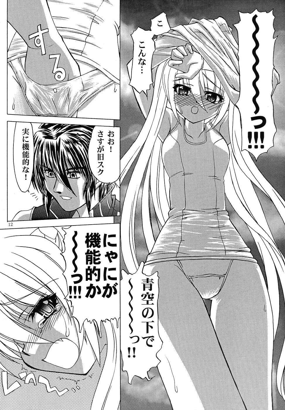 (C67) [Akai Suzume (Suzaku)] YUMEMIRUMADOUSYO (Demonbane) page 11 full