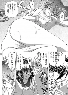 (C67) [Akai Suzume (Suzaku)] YUMEMIRUMADOUSYO (Demonbane) - page 13