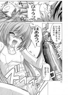 (C67) [Akai Suzume (Suzaku)] YUMEMIRUMADOUSYO (Demonbane) - page 15