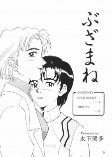 (C63) [Taishita Shoten (Taishita Monda)] Buzamane (Neon Genesis Evangelion) - page 2