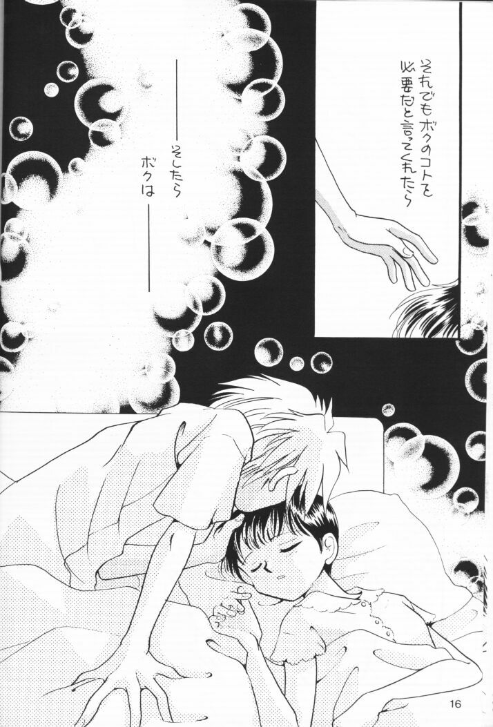 (C54) [Nikkou Kikaku (Gotou Noriko)] Chiisana Koi no Melody (Neon Genesis Evangelion) page 15 full