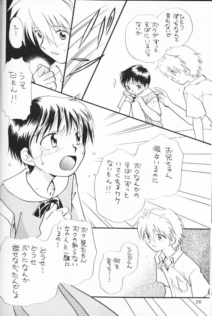 (C54) [Nikkou Kikaku (Gotou Noriko)] Chiisana Koi no Melody (Neon Genesis Evangelion) page 25 full