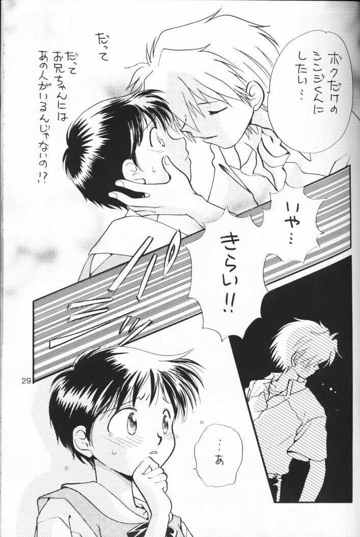 (C54) [Nikkou Kikaku (Gotou Noriko)] Chiisana Koi no Melody (Neon Genesis Evangelion) page 28 full