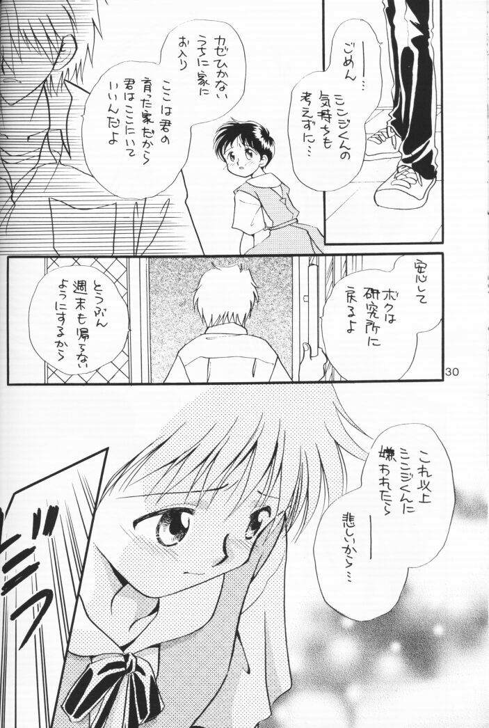 (C54) [Nikkou Kikaku (Gotou Noriko)] Chiisana Koi no Melody (Neon Genesis Evangelion) page 29 full