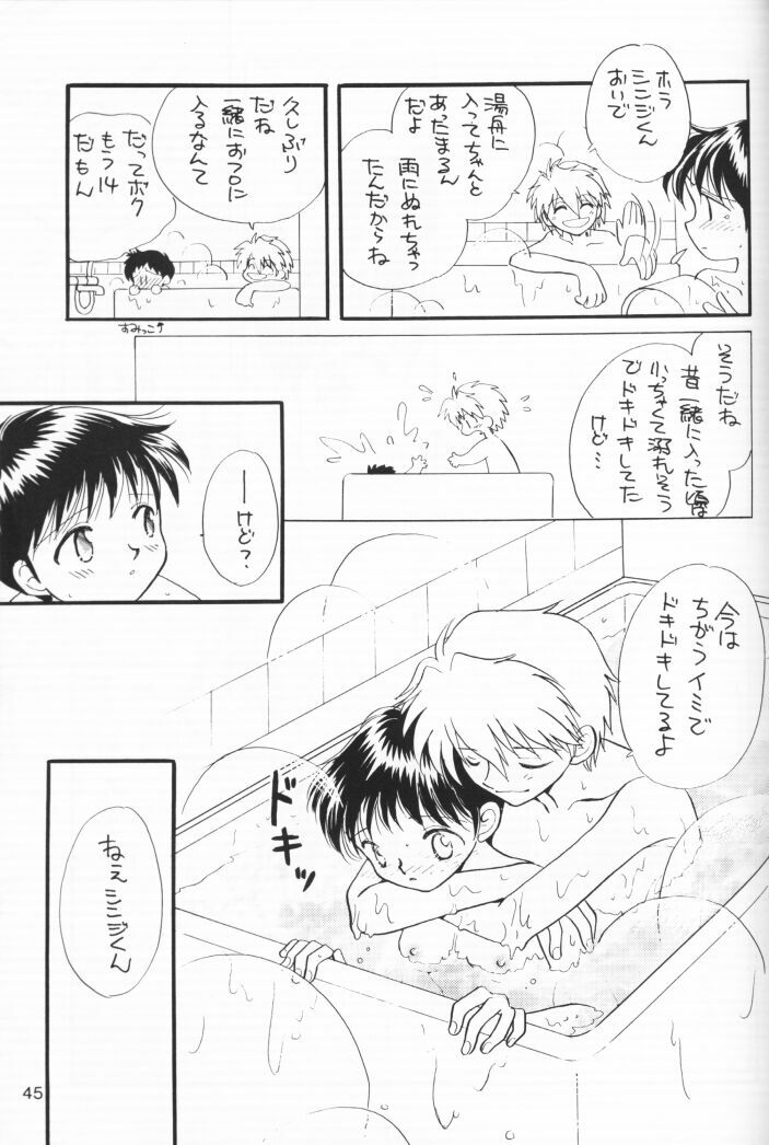 (C54) [Nikkou Kikaku (Gotou Noriko)] Chiisana Koi no Melody (Neon Genesis Evangelion) page 44 full