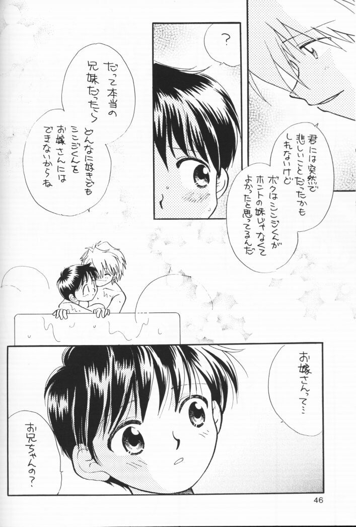 (C54) [Nikkou Kikaku (Gotou Noriko)] Chiisana Koi no Melody (Neon Genesis Evangelion) page 45 full