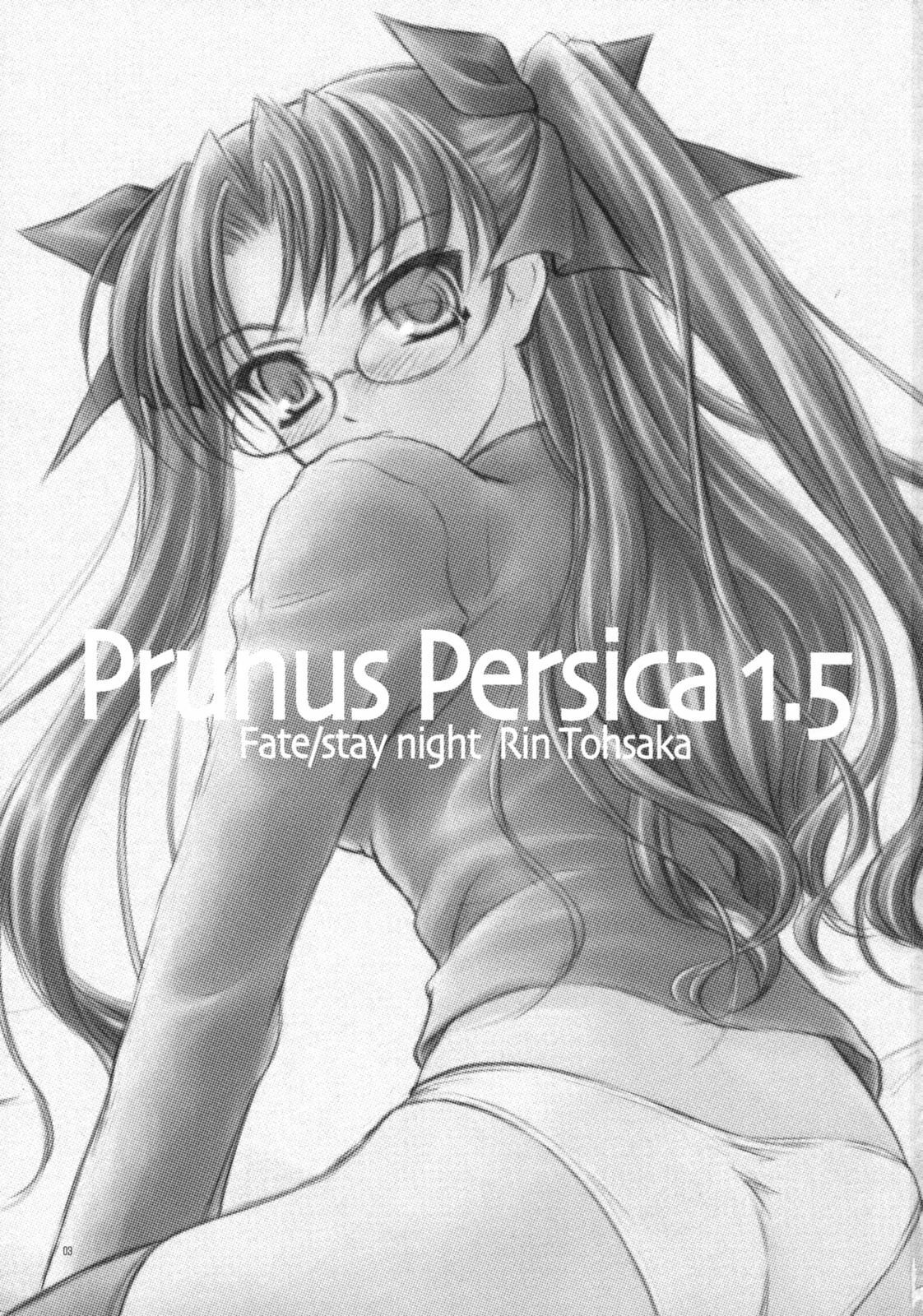 (COMIC1☆2) [Yakan Honpo, Yakan Hikou (Inoue Tommy)] Prunus Persica 1.5 (Fate/stay night) page 2 full