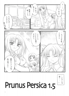 (COMIC1☆2) [Yakan Honpo, Yakan Hikou (Inoue Tommy)] Prunus Persica 1.5 (Fate/stay night) - page 10