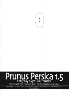 (COMIC1☆2) [Yakan Honpo, Yakan Hikou (Inoue Tommy)] Prunus Persica 1.5 (Fate/stay night) - page 25